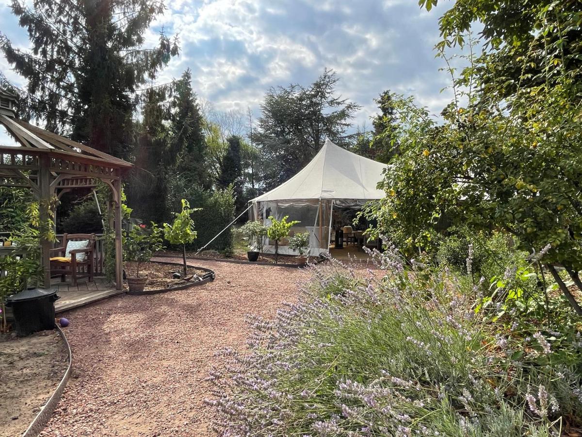 Maison Stout Hasselt Bagian luar foto